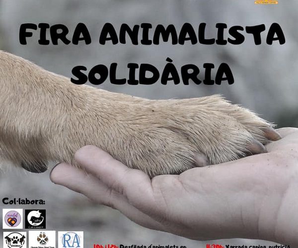 fira animalista solidaria falla hernán cortes