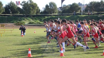 VI CROSS CIUTAT D’ALZIRA