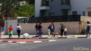 Eixides al carrer de la població infantil