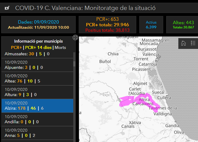 Alzira Covid-19