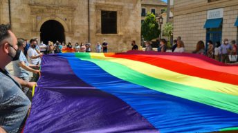 Dia Internacional de l'orgull LGBT +