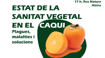 caqui sanitat vegetal