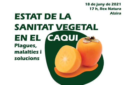 caqui sanitat vegetal