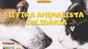 fira animalista