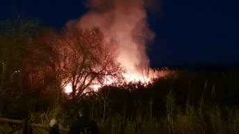 incendio matorrales alzira