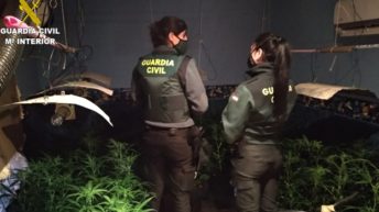 marihuana-plantacion-guardia-civil-