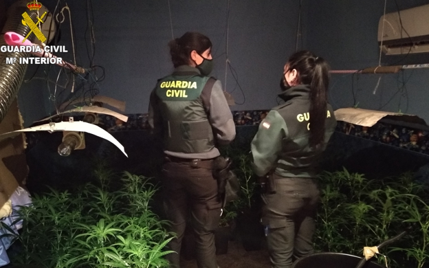 marihuana-plantacion-guardia-civil-